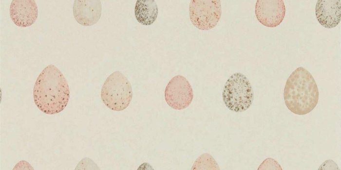 1000x1000 Blush Pink Wallpaper (62+), Find HD Wallpapers For Free