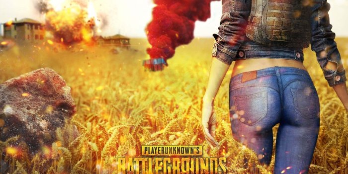 1920x1080 PUBG hot girl player going for drop loot wallpaper - HD Wallpaper