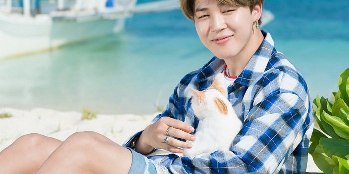 1200x1803 Interview/Trans] [STARCAST] The 2017 Summer of BTS [170828]