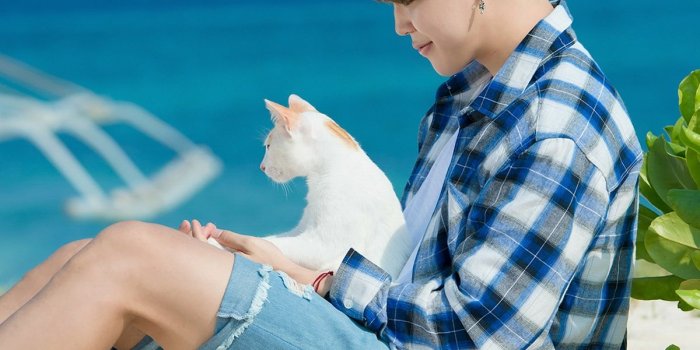 1200x1803 Interview/Trans] [STARCAST] The 2017 Summer of BTS [170828]