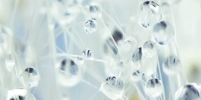 1080x1920 Pure Crystal Dew Dandelion Flower Water Drop Globe Macro iPhone 8