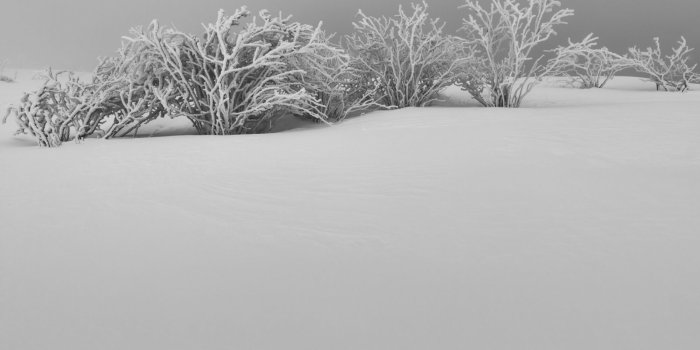 1600x1200 Winter White Snow Aesthetic Black and White ❤ 4K HD Desktop