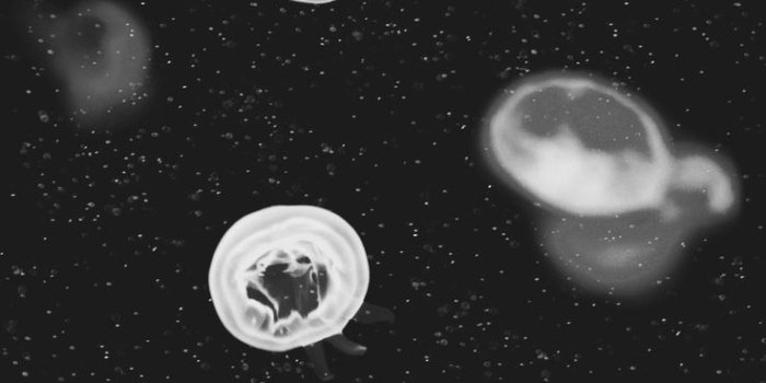 736x2207 38 Black Aesthetic Wallpaper Ideas for Your Iphone in 2019 - How to