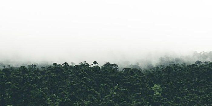 736x1308 24 Wallpapers To Style Your New Gold iPhone Xs | Preppy Wallpapers