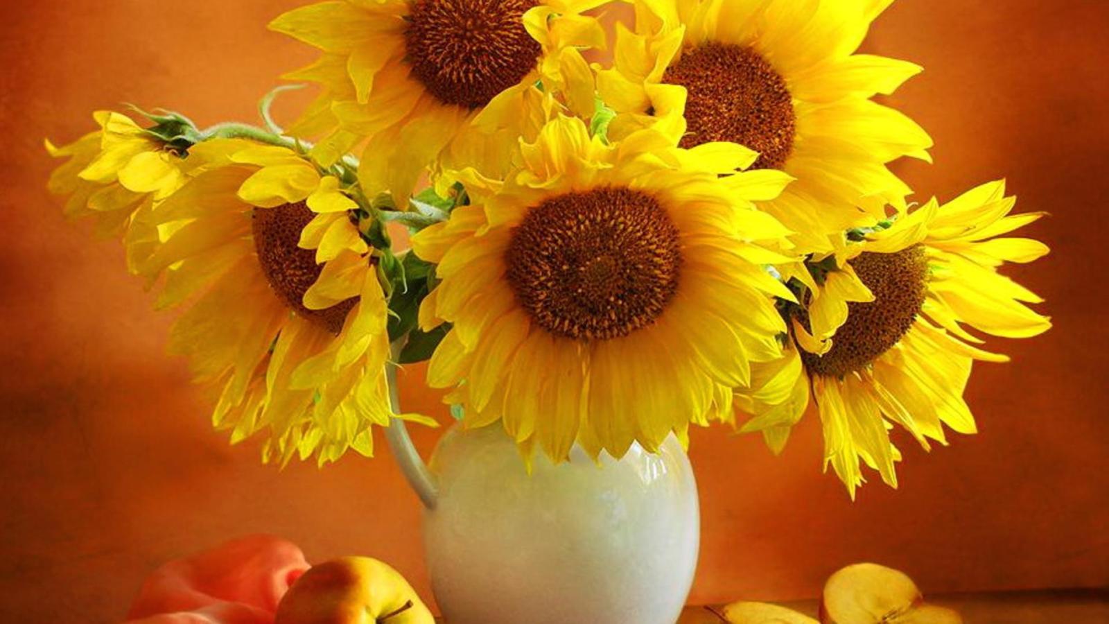 1920x1080 Yellow Flowers Desktop Wallpaper - Wallpaper, High Definition, High