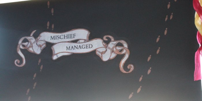 4272x2848 Harry potter bedroom, roller blinds, crafts | Harry Potter bedroom