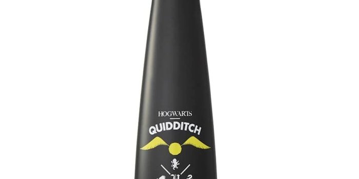 913x1024 Sip By S'well's Harry Potter Bottles Are Here For All Your