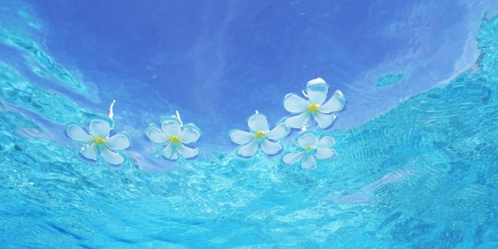 1920x1200 35+ Blue Water Wallpapers - Download at WallpaperBro