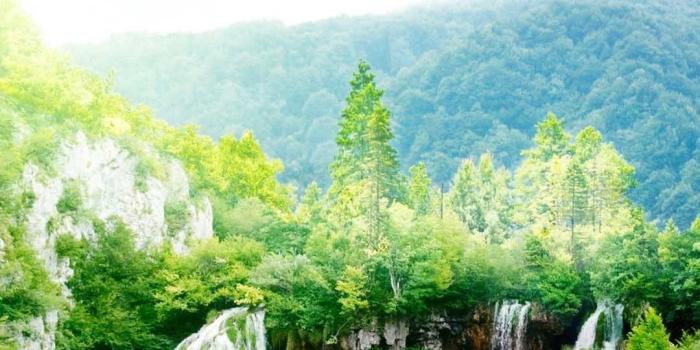 1080x1920 Nature » Nature Wallpaper Iphone 6 Plus - HD Wallpaper for Desktop