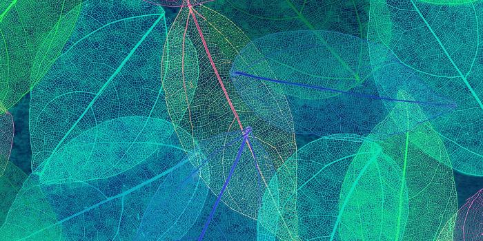 1366x768 vm24-color-blue-leaf-art-fall-nature-pattern-wallpaper