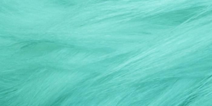 1080x1920 67+ Mint Green Wallpapers on WallpaperPlay