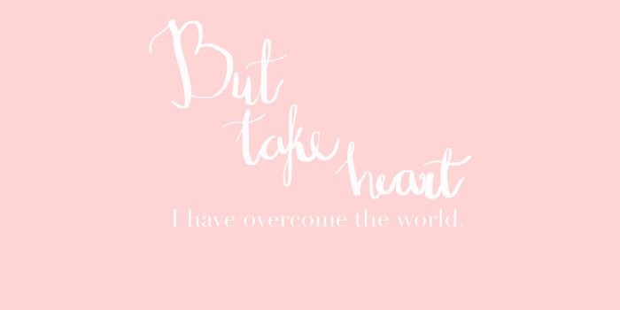 1920x1080 63+ Pink Brand Wallpapers on WallpaperPlay