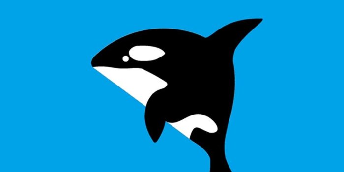 1080x1920 Pink dolphin wallpaper Gallery