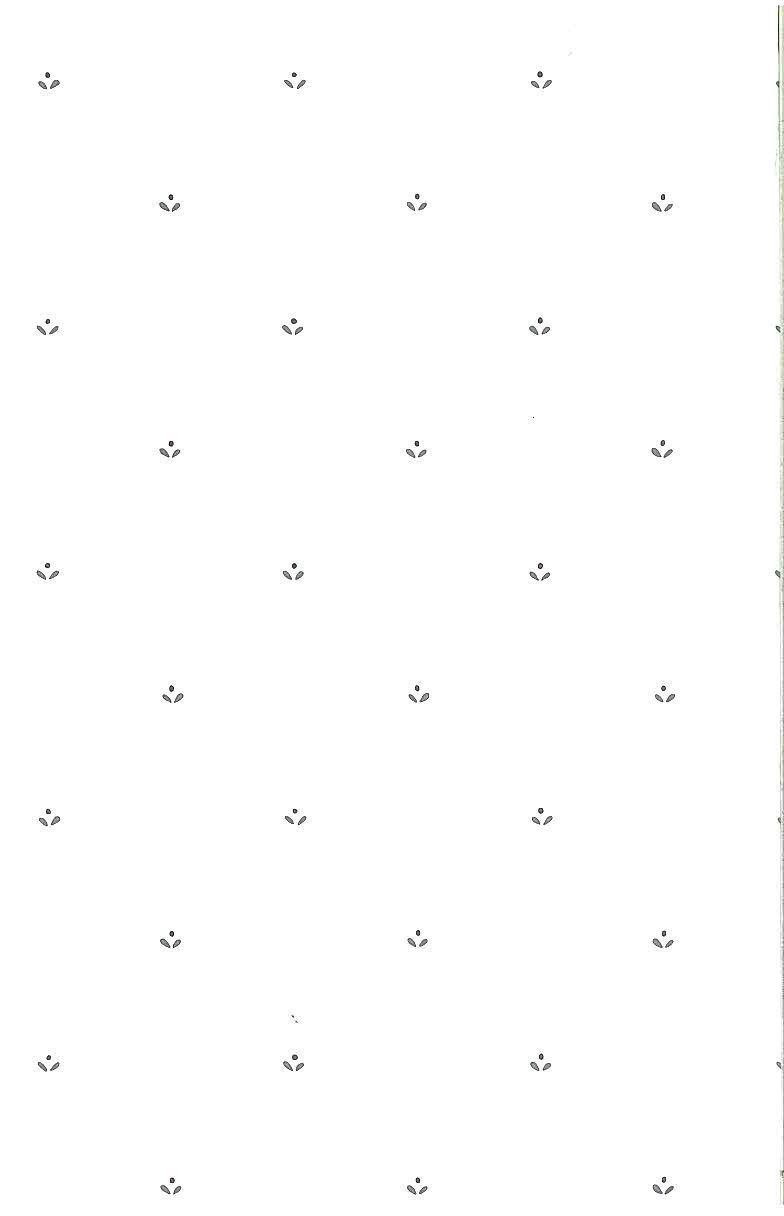 784x1216 Off White Wallpaper Hd - (60+) Wallpaper Collections