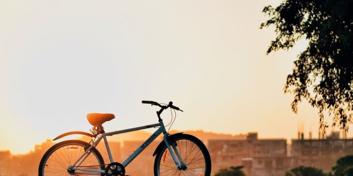 1000x1775 500+ Best Bicycle Pictures [HD] | Download Free Images on Unsplash