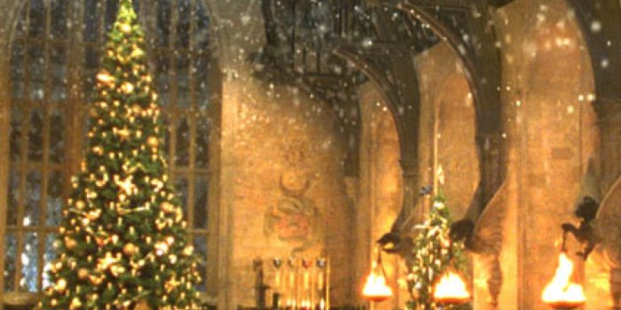 1080x1920 Harry potter christmas wallpaper Gallery