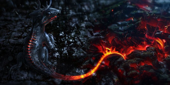 1920x1080 10 Most Popular Hd Dragon Wallpapers 1920X1080 FULL HD 1920×1080 For