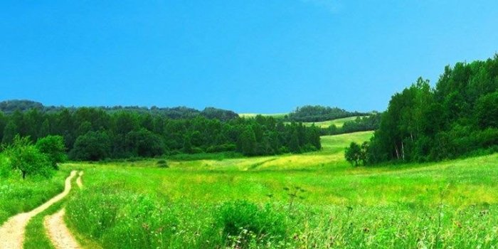 768x1280 Most Popular HD Wallpapers Page 1 Desktop Background