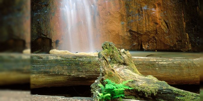 1920x1080 26548 most popular desktop wallpaper