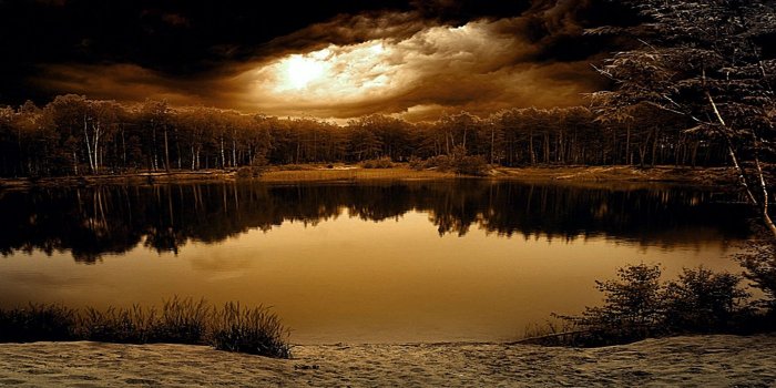 1920x1080 55+ Top 10 Most Popular Wallpapers - Download at WallpaperBro