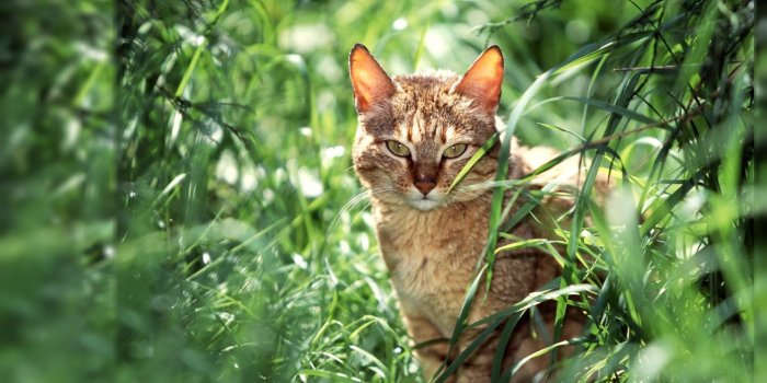 1920x1080 Most Famous Wallpaper (40+), Download 4K Wallpapers For Free