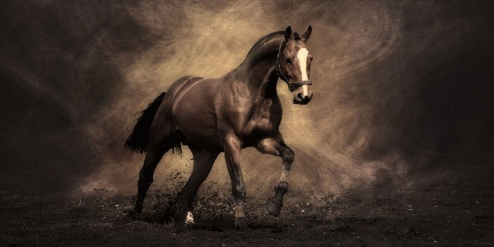 1920x1080 Most Famous Wallpapers (101+ images in Collection) Page 1