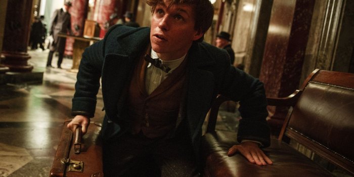 1400x1050 To tie up the loose strings of Fantastic Beasts, you have to dig