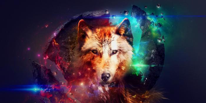 2560x1600 Galaxy Wolf Wallpapers - Top Free Galaxy Wolf Backgrounds