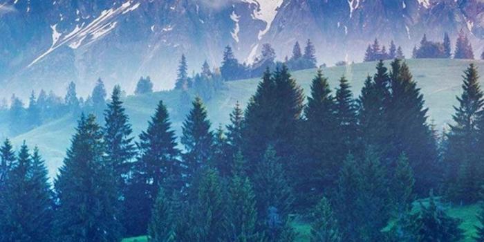 1080x1920 15 Best Nature Wallpapers in 4K and Full HD for Desktop and Mobile