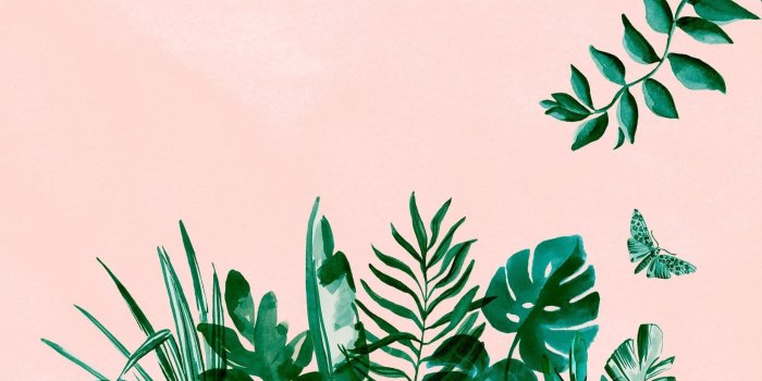 1856x1161 aesthetic laptop wallpaper #474296 | Laptop wallpaper in 2019