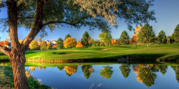 1920x1200 50+ Nature Wallpapers HD For Free Download