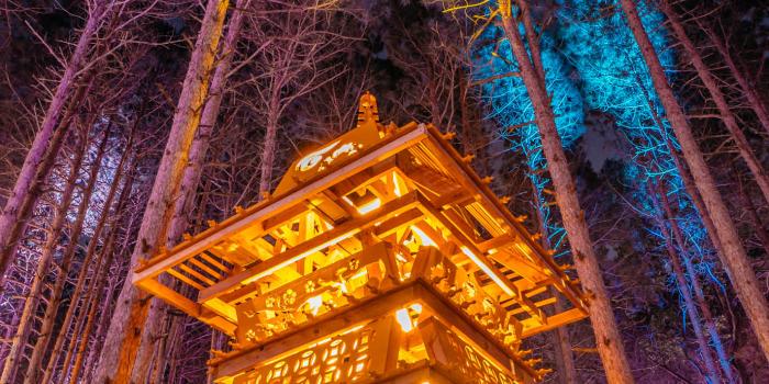 1423x2133 Electric Forest Wallpapers | Electric Forest