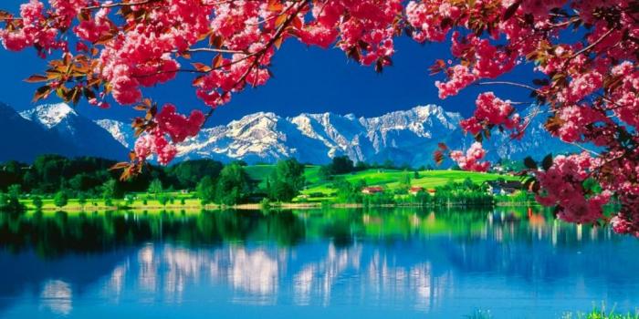 1024x768 Nature Wallpaper - Beautiful Wallpapers Of Nature For Desktop Free