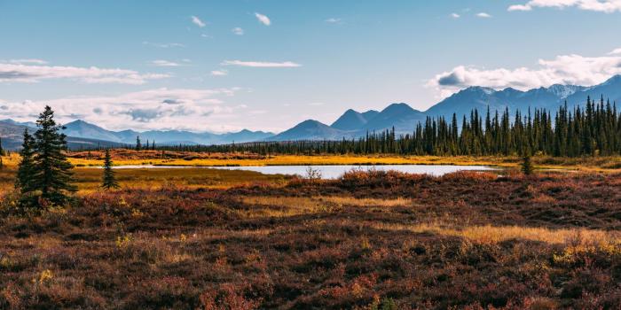 1600x900 171 Nature Wallpaper Examples For Your Desktop Background