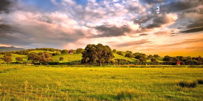 1920x1080 65+ Nature 1920X1080 Wallpapers on WallpaperPlay