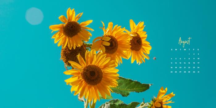 5120x2880 Desktop Wallpapers — Candidly Keri