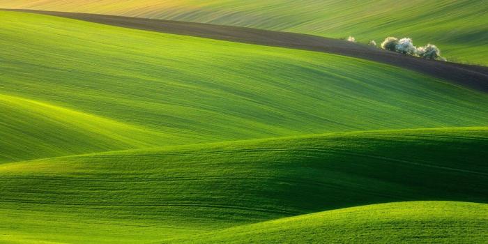 1600x909 50 Beautiful Nature Wallpapers for your Desktop Mobile and Tablet - HD