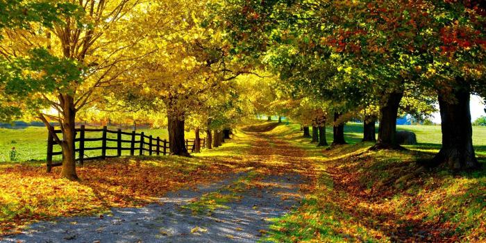 1920x1080 Nature Backgrounds – download best - digitalimagemakerworld.com free