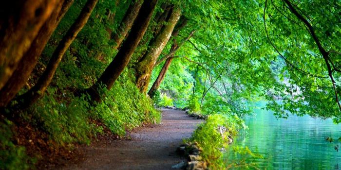 1366x768 Full Hd Nature Wallpapers - Nature Hd Wallpapers For Windows 10