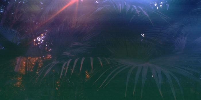 1920x1080 New HD Computer Wallpaper (80+ pictures)