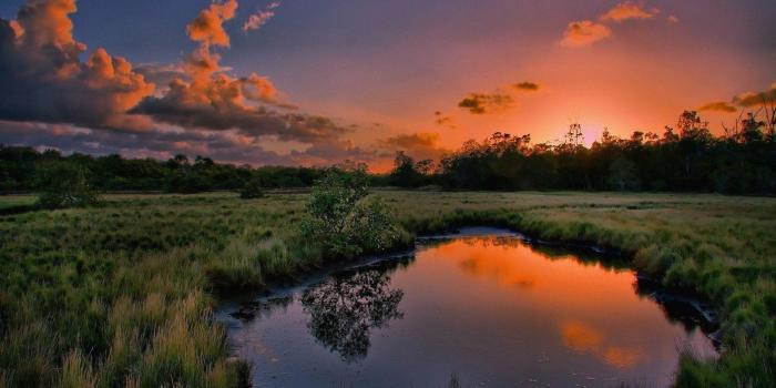 1392x783 15 Best Nature Wallpapers in 4K and Full HD for Desktop and Mobile