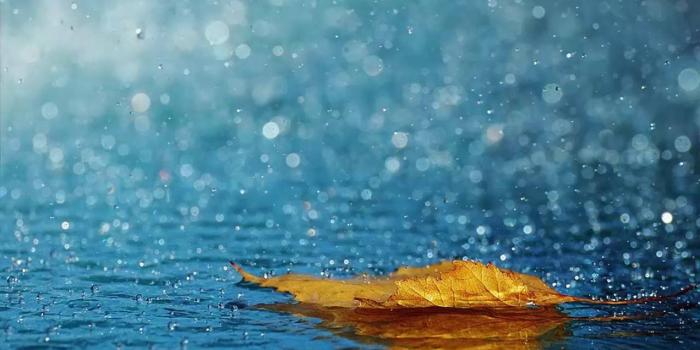 1280x720 Beautiful wallpaper || Real nature wallpaper || Desktop nature wallpaper ||  3D HD wallpaper part-2