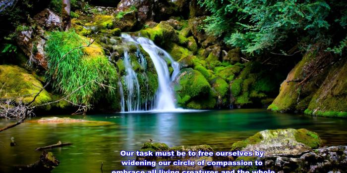 2560x1627 Wallpapers nature quotes and images hd