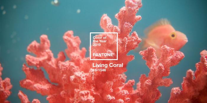 5120x2880 Graphics - Pantone Digital Wallpaper