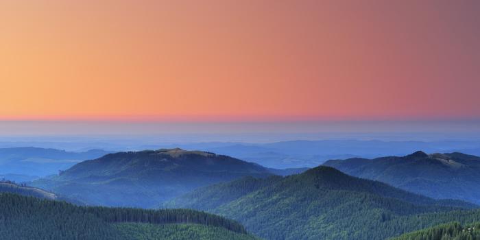 2524x2524 Nature wallpapers for iPhone and iPad