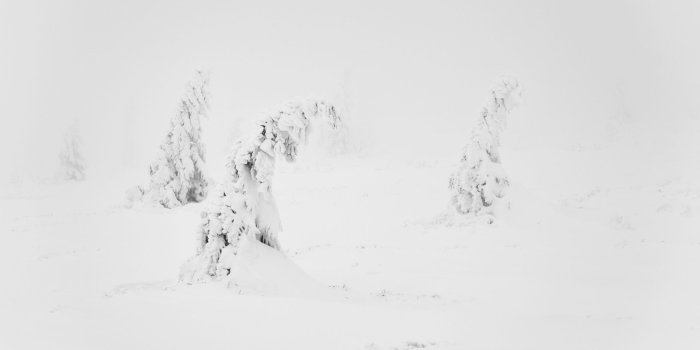 2560x1600 Winter White Snow Aesthetic ❤ 4K HD Desktop Wallpaper for 4K Ultra