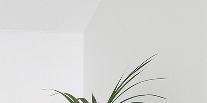 750x1334 White Aesthetic Wallpapers