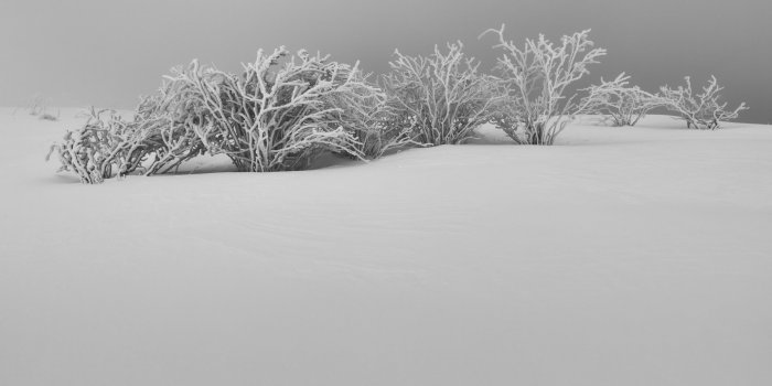 2560x1440 Winter White Snow Aesthetic Black and White ❤ 4K HD Desktop