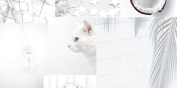 1078x1916 white aesthetic background | wallpaper in 2019 | Aesthetic pastel