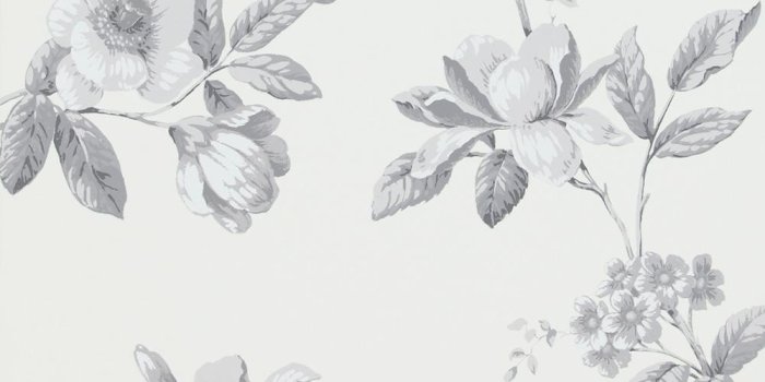 1000x1000 White Wallpaper – Walls Republic US